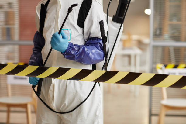 Professional Hoarding Cleanup technician working in Bishop, CA